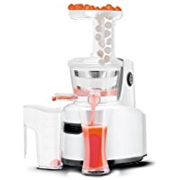 縦型最安値スロージューサー