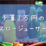 予算1万円のスロージューサー