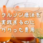 ゲルソン療法にかかった費用