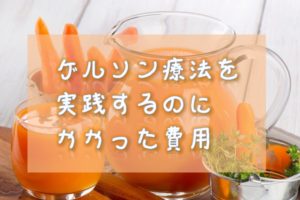 ゲルソン療法にかかった費用