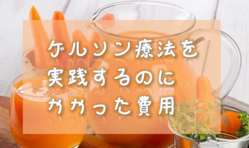 ゲルソン療法にかかった費用